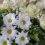 Pide-disculpas-con-un-hermoso-ramo-de-flores
