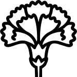 Claveles